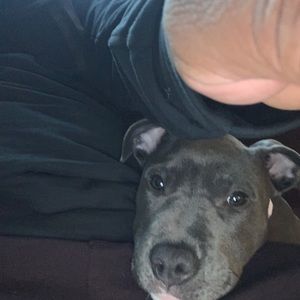 Meet your Posher, Juan